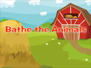 Opening frame of “Bath the Animals”, activity 1B Unit 1 Lesson 3 — an interactive activity.