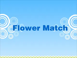 Opening frame of “Flower Match”, activity 1B Unit 2 Lesson 8 — an interactive activity.