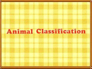 Opening frame of “Animal Classification”, activity 2B Unit 4 Lesson 6 — an interactive activity.