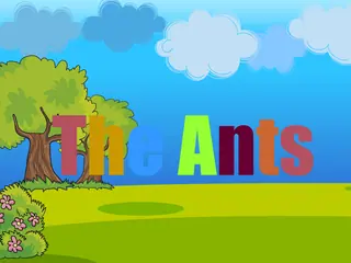Opening frame of “The Ants”, activity 3A Unit 1 Lesson 3 — an interactive activity.
