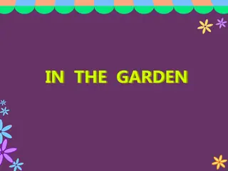 Opening frame of “In the Garden”, activity 3A Unit 3 Lesson 2 — an interactive activity.
