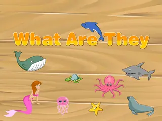 Opening frame of “What Are They”, activity 3B Unit 2 Lesson 3 — an interactive activity.
