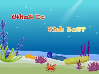 Opening frame of “What Do Fish Eat?”, activity 3B Unit 2 Lesson 4 — an interactive activity.