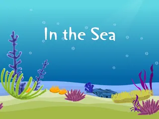 Opening frame of “In the Sea”, activity 3B Unit 2 Lesson 5 — an interactive activity.