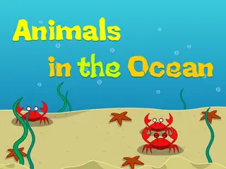 Opening frame of “Animals in the Ocean”, activity 3B Unit 2 Lesson 6 — an interactive activity.