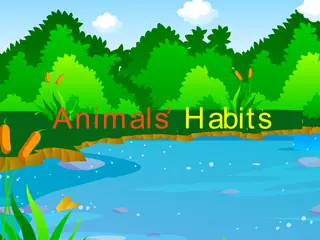 Opening frame of “Animals'Habits”, activity 4A Unit 2 Lesson 8 — an interactive activity.