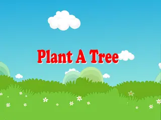 Opening frame of “Plant a Tree”, activity 4A Unit 3 Lesson 3 — an interactive activity.