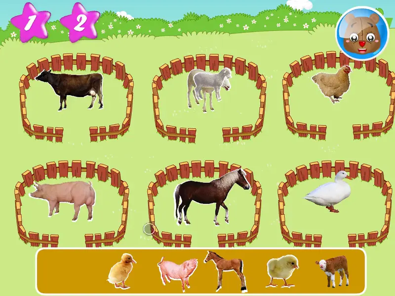The Animals With Their Babies (course 1B)